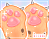 Calico paws ♡