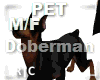 R|C Doberman Pet M/F