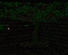 Toxicity Tree {F}