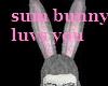 sum bunny luvs you