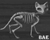 B| Skeleton Cat