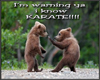 :) Karate Bears