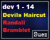 Devils Haircut
