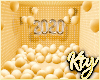 2020 Photo Room Gold