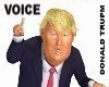 Donald Trump Voice