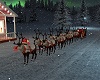 Santa's Reindeer Sleigh