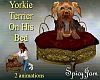 Anim Yorkie On Bed Red