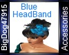 [BD] Blue Head Band