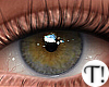 T! Beauty Eyes 7