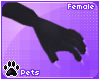 [Pets] Kia | claws