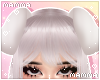 𝓶. puppy ears | white