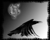Gracy82