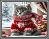 🎄 Christmas Kitten BG