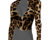 Cheeta set 1/2