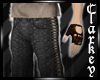 {Cy} Steampunk Pants Cre