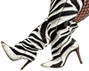 Cebra Boot