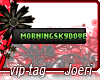 j| Morningskydove
