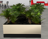 plant box divider