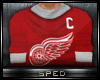 !SP! Red Wings Jersey !