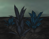 Dark World Blue Foliage