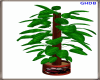 GHD Potted Plant