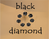 (KK)BLACK DIAMOND BELLY