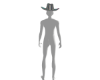 Chrome cowgirl hat