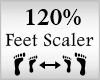 Scaler Feet 120%