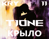 T1One - Krylo