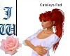 W Cataleya Red Ponytail