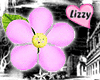 Daisy Handheld Flower