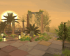 Sunset in my Garden