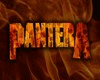 Pantera Make Disappear 2