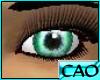 CAO Gazing Green Eyes
