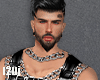Sexy|Bundles