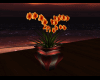 Night  plant