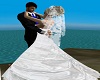 wedd hoh2