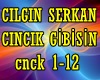 CinCik Gibisin