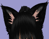 Lix- Kitten Ears Nior