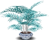 teal fern plant