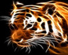 Fire Tiger Sticker