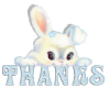 HW: Bunny   Thanks