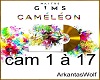 GIMS - Caméléon