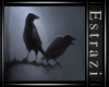 Raven Picture Frame 2