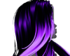 Violet Ombré[ANIMATED]