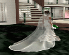 (owl) wedding veil