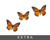 𝕎. Butterflies orange