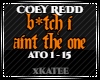 COEY REDD - AINT THE ONE