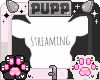 🐾 Streaming Cow HS