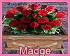 Pot of Red Roses